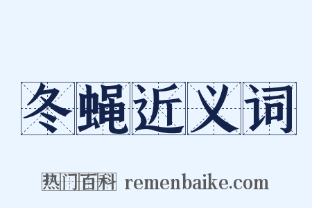 冬蝇近义词是什么意思的图片